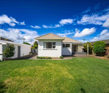 Recently Renovated Four-Bedroom Home in Prime Claudelands Location - Photo 3