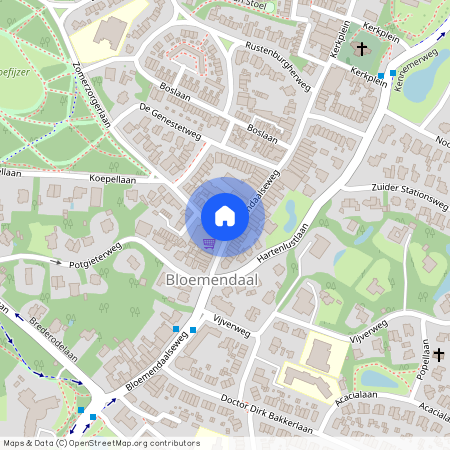 Bloemendaalseweg 64, Noord-Holland, 2061 CM, Bloemendaal