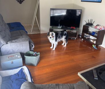 Bentleigh East - Photo 1