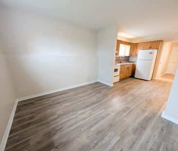 Cozy 3-Bedroom Lower Unit in St. Catharines! - Photo 2