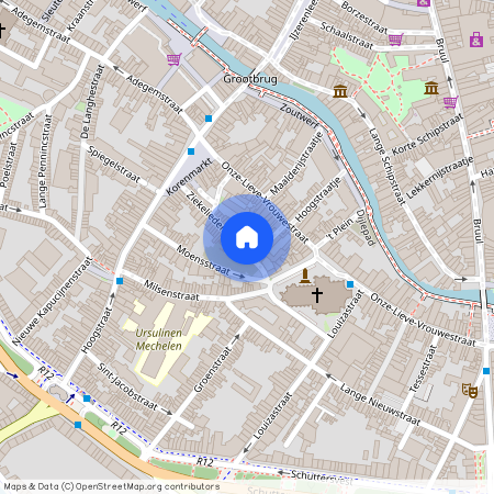 Ziekeliedenstraat, 27, 2800, Mechelen