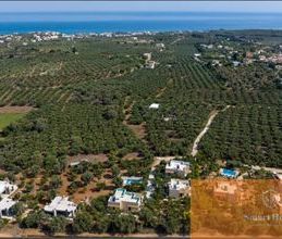 Βίλα για ενοικίαση - Αρκάδι, - Photo 6