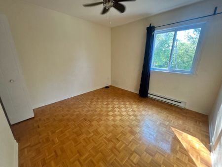 59 Rue Galipeau - Photo 3