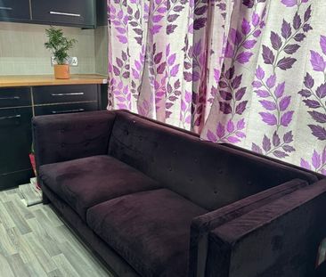 Room in a Shared House, Norfolk Park Village, S2 - Photo 4