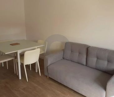 3 PIECES HAUT BORRIGO AVEC PARKING - Photo 3
