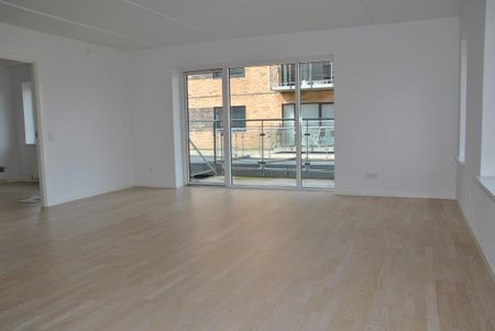 Møgelparken - Foto 2