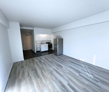 Renovated studio available NOW – 175 Sherbrooke O - Photo 1
