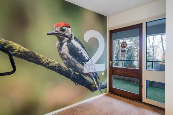 Appartement te huur: Molenweg 50-215 3708 SG Zeist - Foto 1
