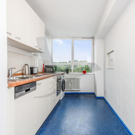 Den Tiergarten vor der Haustür - Photo 3