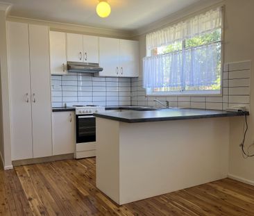 Spacious Yard & Comfortable Living in the Heart of St Andrews - Photo 4