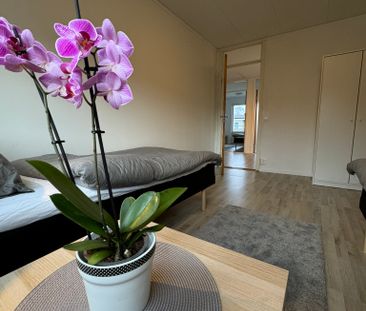 Hammarkroken, Angered - Photo 5