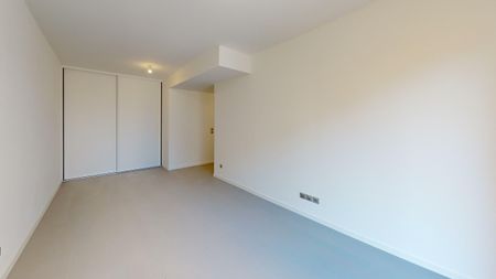 Ferney-Voltaire - Magnificent house for rent with garden - Foto 4