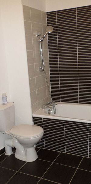 APPARTEMENT DE 2 PIECES AVEC JARDIN A LOUER A PLAISIR - Photo 1