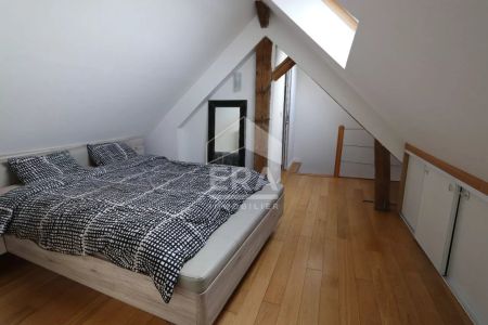 Maison meublée Saint Jean De La Ruelle 3 pièce(s) 67 m2 carrez 86m² au sol - Photo 5