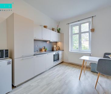 Pronájem bytu 1+1 65 m2 - Fotografie 3