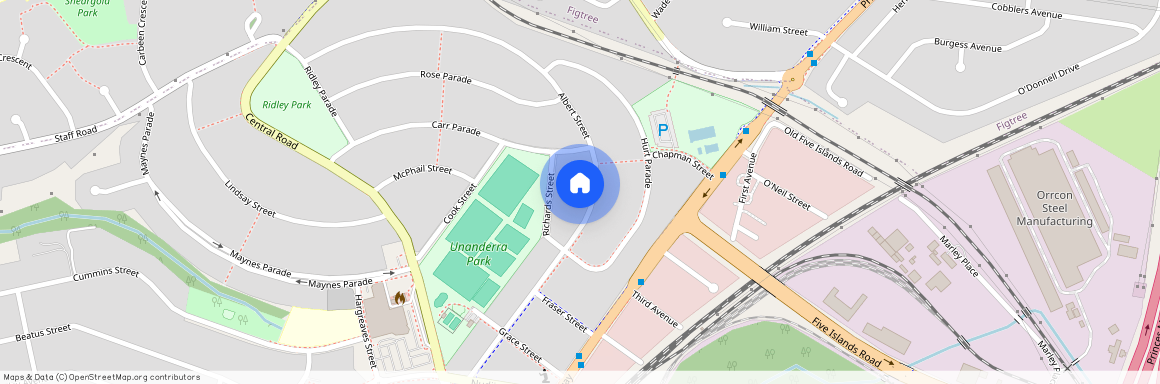 45 Albert Street, NSW 2526, Unanderra