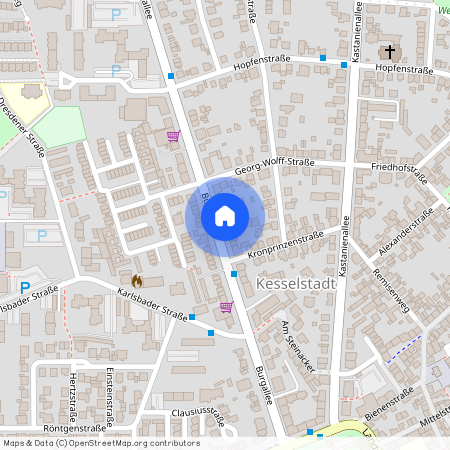 Burgallee 36, 63454 Hanau