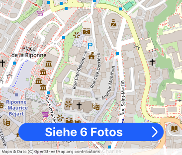 STUDIO IN LAUSANNE – CITY CENTER, FURNISHED, TEMPORARY RENTAL - Foto 1