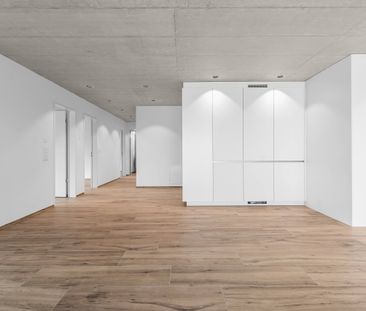 Erstvermietung: Grosse Flächen, wohnen mit viel Raum - Photo 1