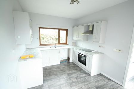 65 Creevyargon Road, Ballynahinch, BT24 8YF - Photo 5