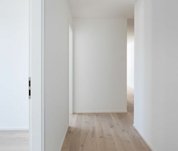 2 appartements (n° 5 et 17) de 4.5 pièces à louer dans immeuble neu... - Photo 6