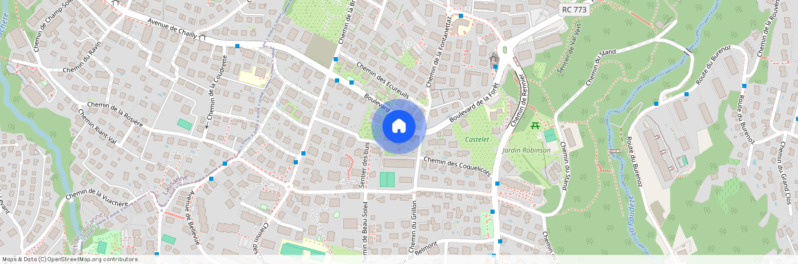 1009, Pully, Boulevard De La Forêt, 24a