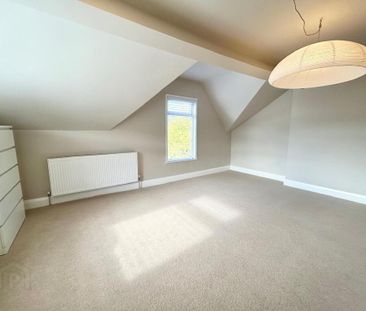 2a Willowfield Gardens, Belfast, BT6 9AZ - Photo 4