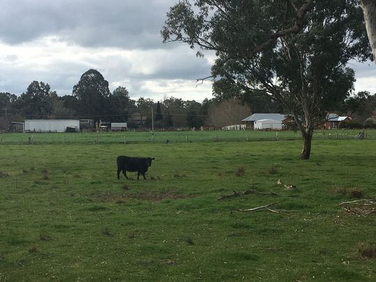 HOME AMONGST THE GUM TREES - Photo 1