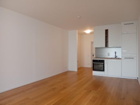 1 Zimmer-Wohnung | 3m² Loggia | Linz-Urfahr - Photo 2