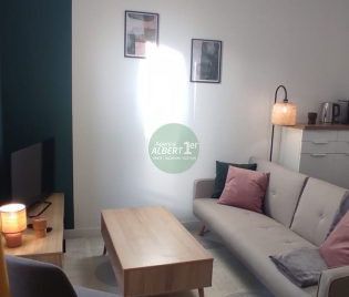 IDEALEMENT SITUE, F1 BIS NEUF MEUBLE - Photo 1