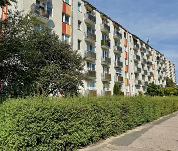 Mieszkanie 3 pokojowe w sąsiedztwie UMK - Photo 2