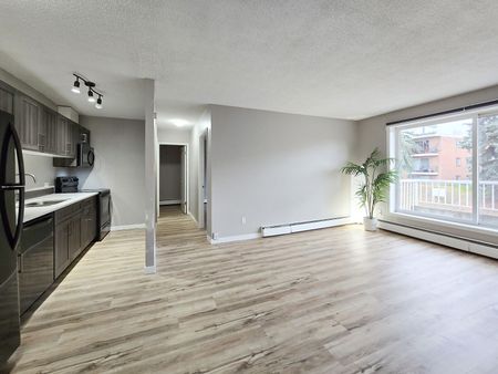 2516 17 St SW, Calgary - Photo 4