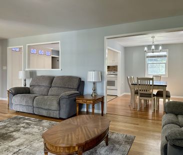 For Lease - 207 Christopher Street, Clearview, Ontario - Photo 1