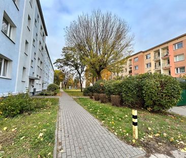 Grudziądz Mieszkanie na wynajem - Zdjęcie 2