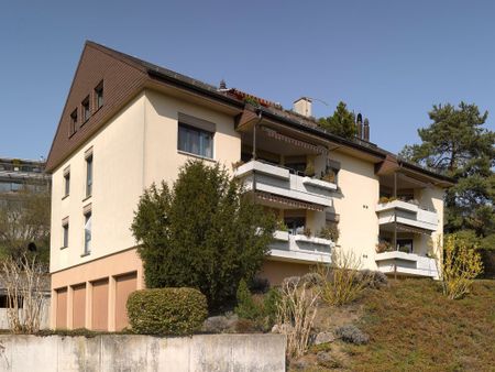 MIETEN OHNE KAUTION - Grosszügige Wohnung mit Blick auf den Zürichsee - Foto 4