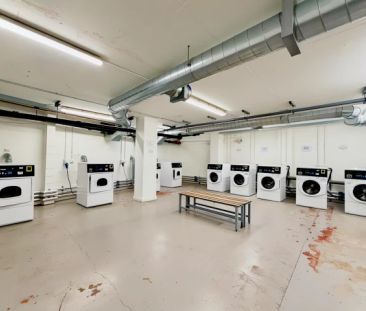 1 Bed 1 Bath - Photo 2