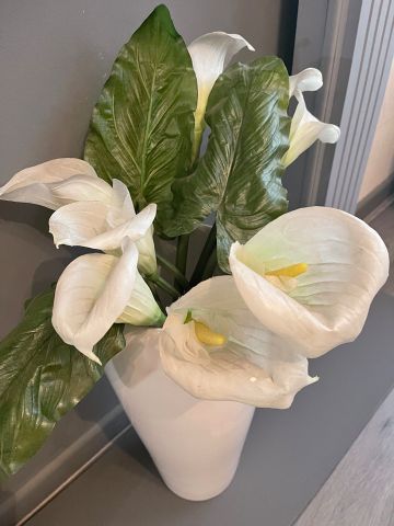 2 Bed Terraced House, Sedley Street, L6 - Photo 5