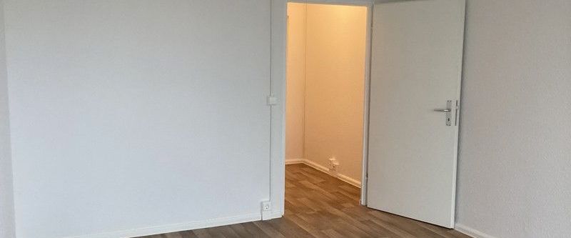 EINZUG VOR WEIHNACHTEN: Frisch modernisierte Singlewohnung nahe dem Wuhlewanderweg - Photo 1