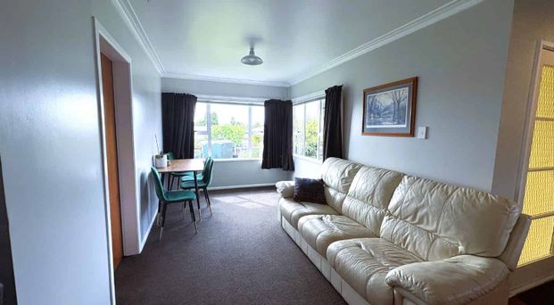 3 BEDROOM - TE AWAMUTU - Photo 1
