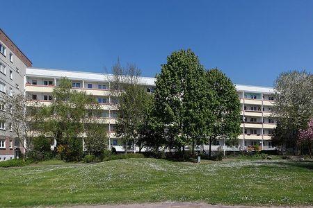 2-Raum-Wohnung Salzbinsenweg 4 - Photo 4