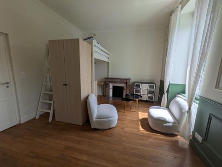 Location Appartement 1 pièce Meublé 23m² ANGERS 49100 - Photo 2
