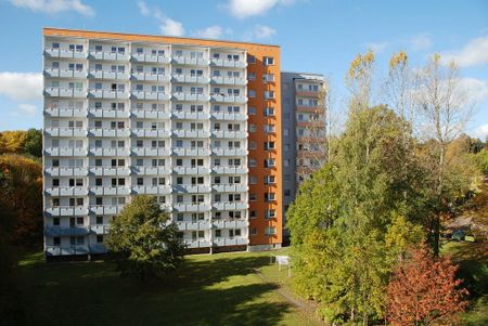 1-Raum-Wohnung mit Balkon nahe botanischer Garten - Photo 3