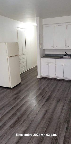 1 CH - 1 SDB - Montréal - $1,095 /mo - Photo 1