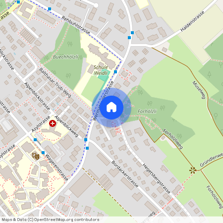 Wermatswilerstrasse 48, 8610, Uster