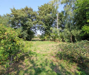 Coton Road, Grantchester, Cambridge - Photo 6