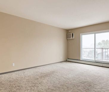 Renovated Suite - 1 Bedroom - Photo 2