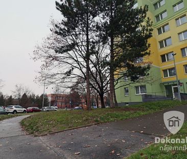 Pronájem bytu 1+kk 38 m² - Photo 6