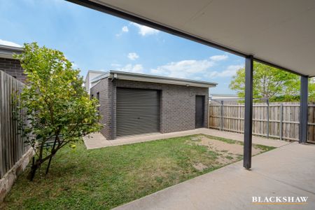 16 Finemore Street, Coombs ACT 2611 - Townhouse For Rent | Domain - Photo 3