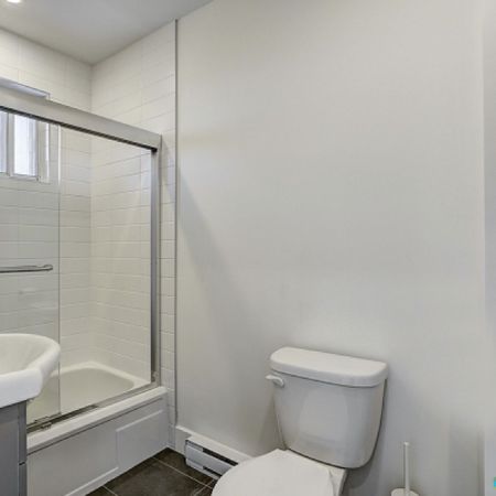 2373, rue Chapleau, Ville-Marie (Centre-Ville et Vieux-Montréal) à louer - Photo 4