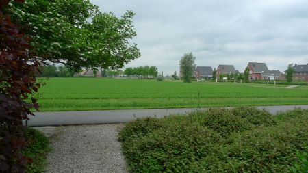 Nijlan 195 - Photo 4